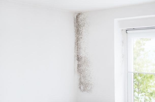 Cincinnati-Ohio-Mold-Remediation-Project-1-1